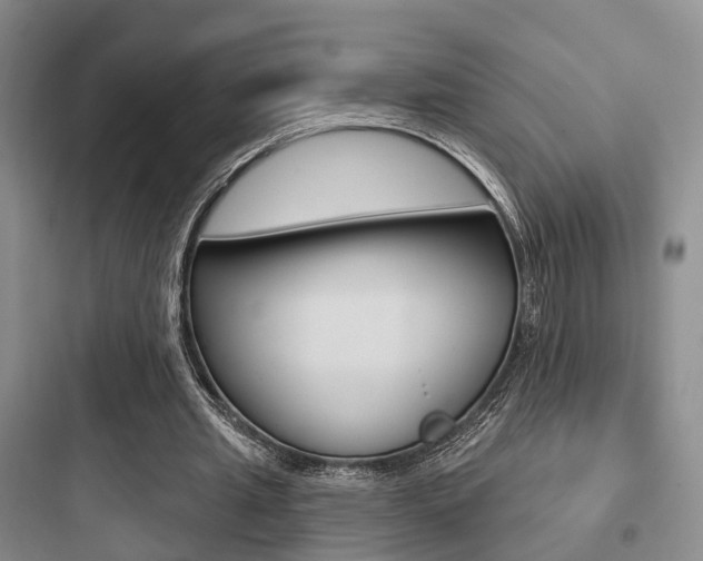 X0000097950437200803241022