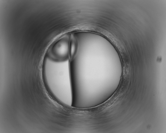 X0000097950438200803241022