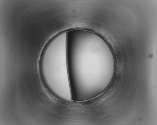 X0000097950439200803241022