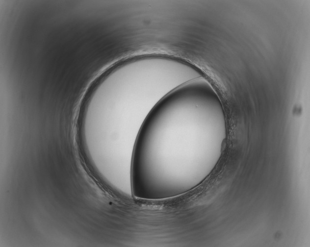 X0000097950440200803241022