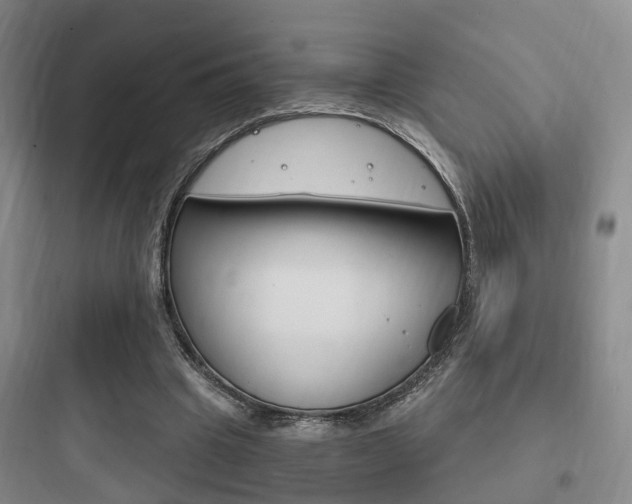 X0000097950441200803241022
