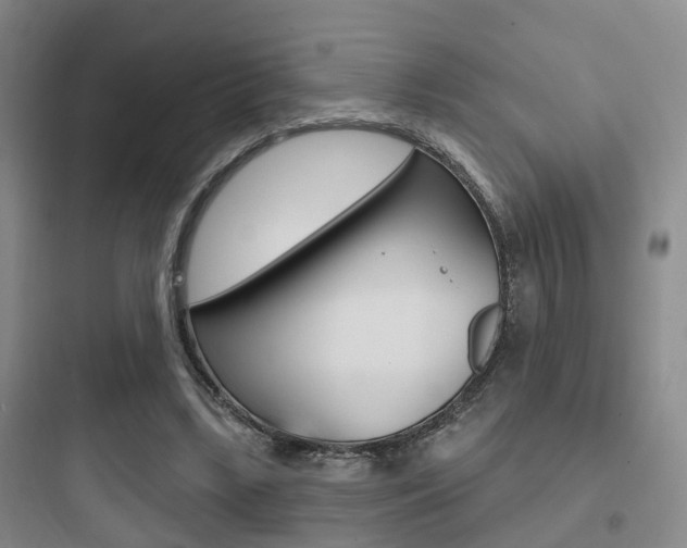 X0000097950443200803241022