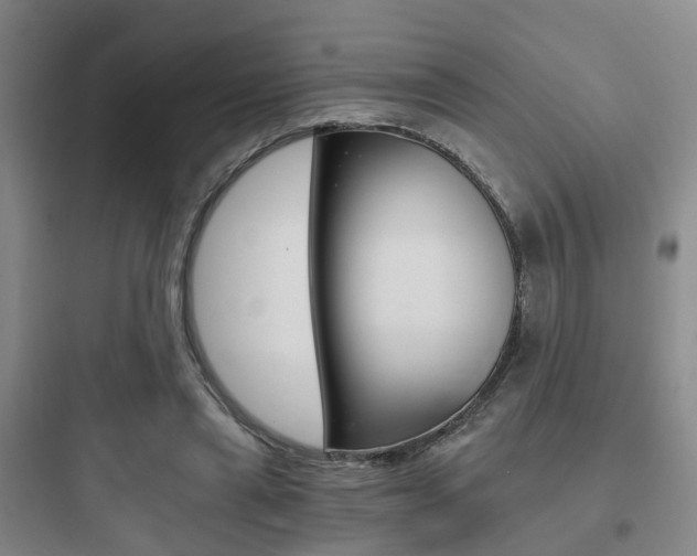 X0000097950445200803241022