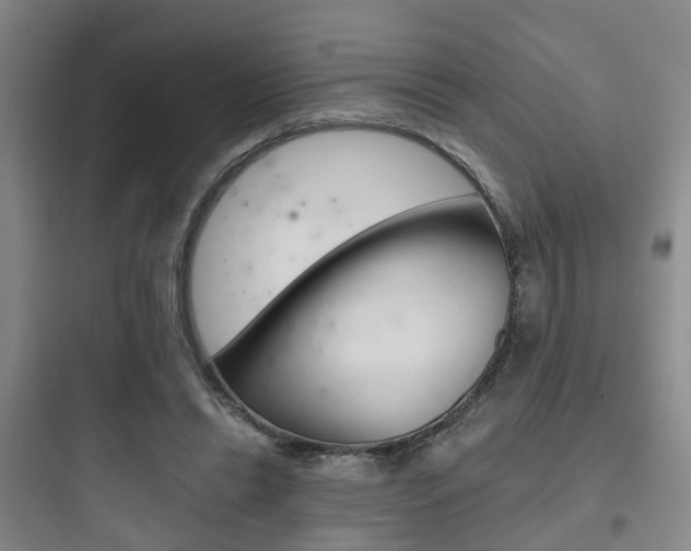 X0000097950446200803241022