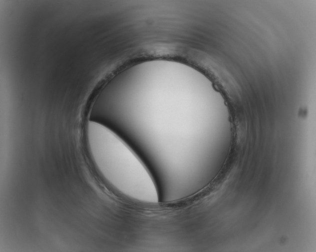 X0000097950447200803241022