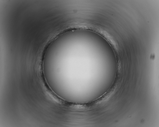 X0000097950449200803241022
