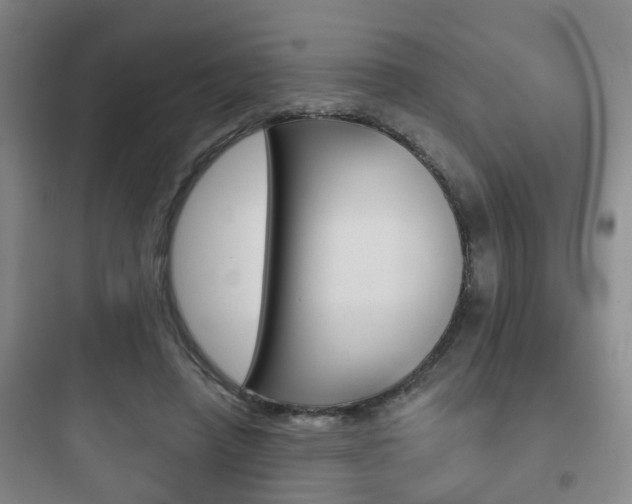 X0000097950450200803241022