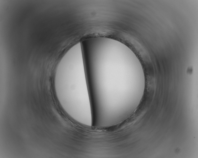 X0000097950451200803241022