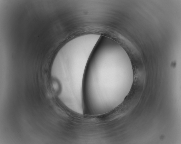 X0000097950452200803241022
