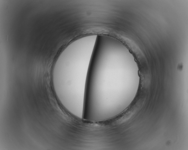 X0000097950453200803241022
