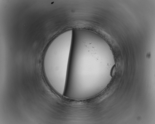 X0000097950454200803241022