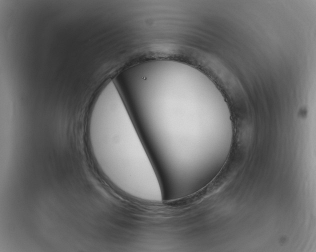X0000097950455200803241022