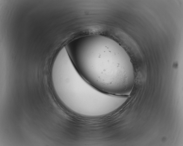 X0000097950456200803241022
