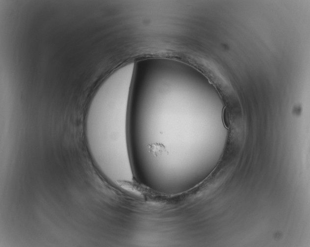 X0000097950457200803241022