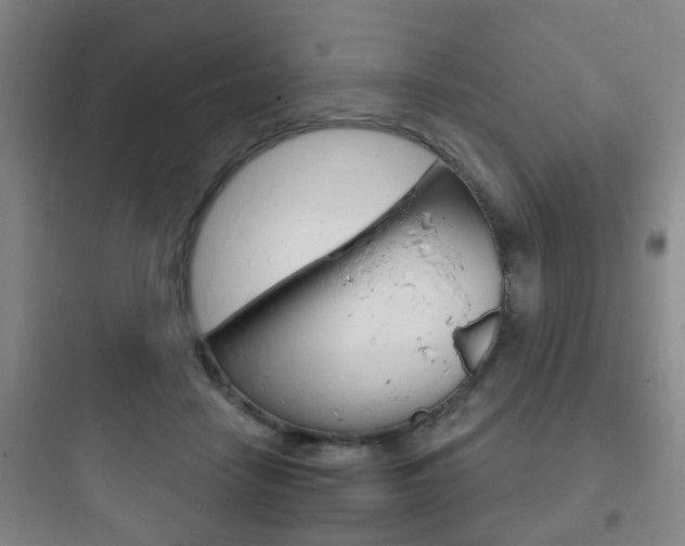 X0000097950458200803241022