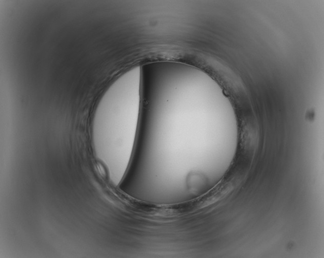 X0000097950459200803241023