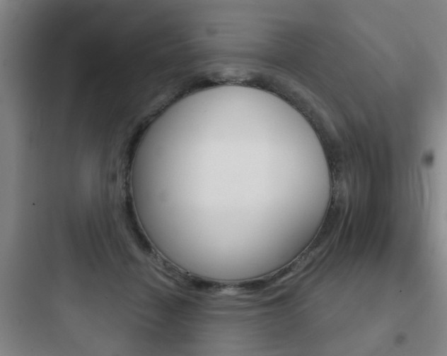 X0000097950460200803241023