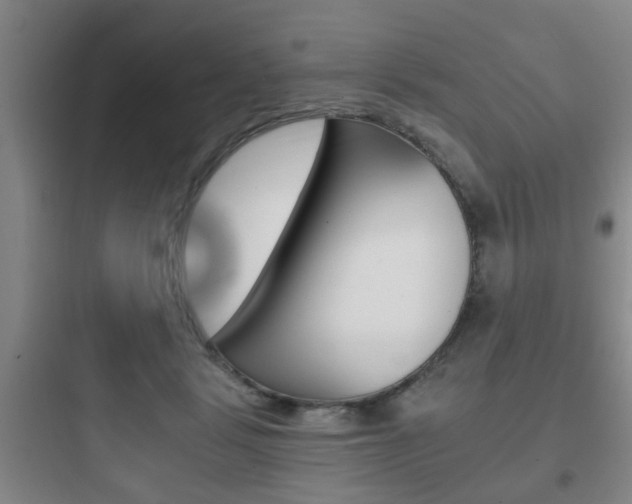 X0000097950461200803241023