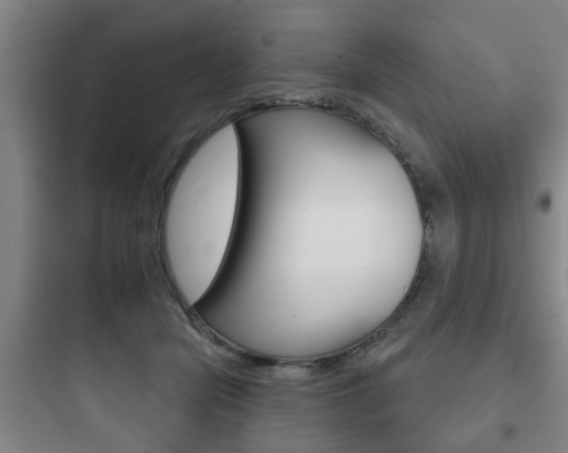 X0000097950462200803241023