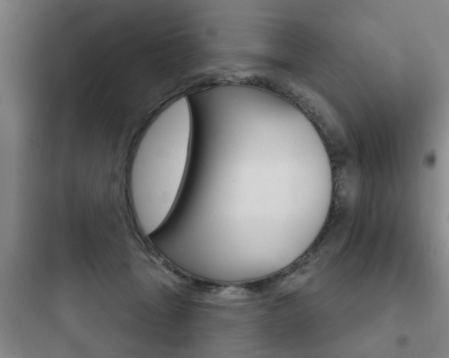 X0000097950463200803241023