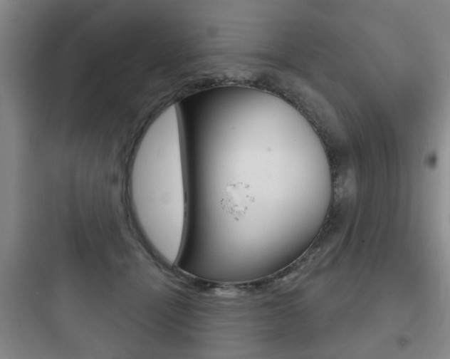 X0000097950464200803241023
