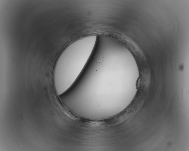 X0000097950465200803241023