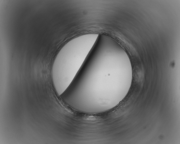 X0000097950467200803241023