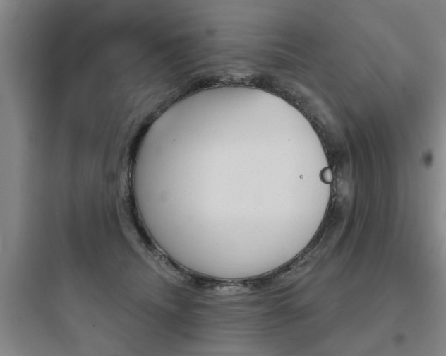 X0000097950468200803241023