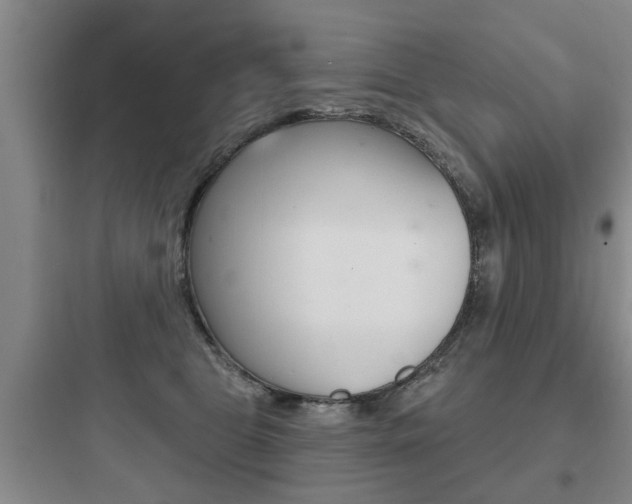 X0000097950469200803241023