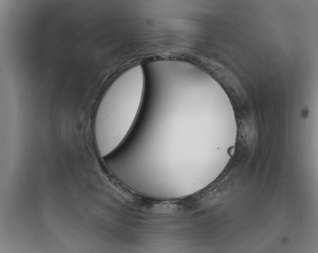 X0000097950470200803241023
