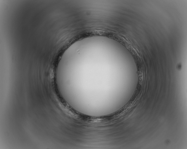 X0000097950472200803241023