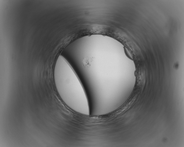 X0000097950473200803241023