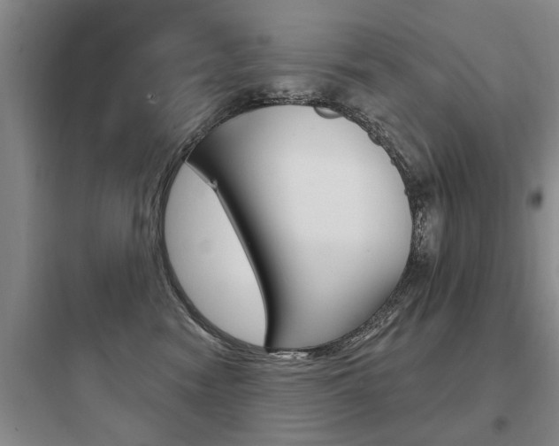 X0000097950474200803241023