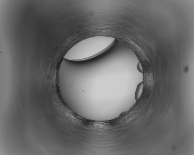 X0000097950475200803241023