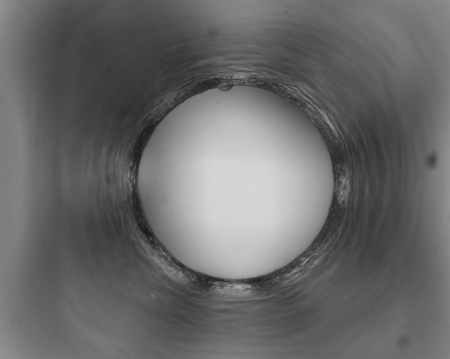 X0000097950476200803241023