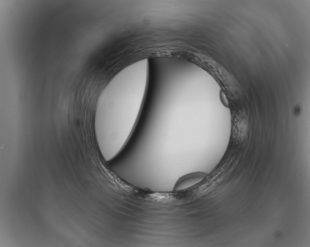 X0000097950477200803241023