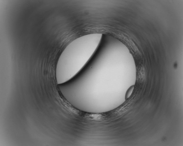 X0000097950478200803241023