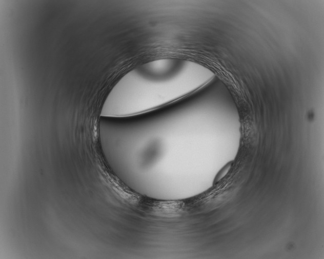 X0000097950479200803241023