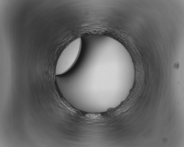 X0000097950480200803241023