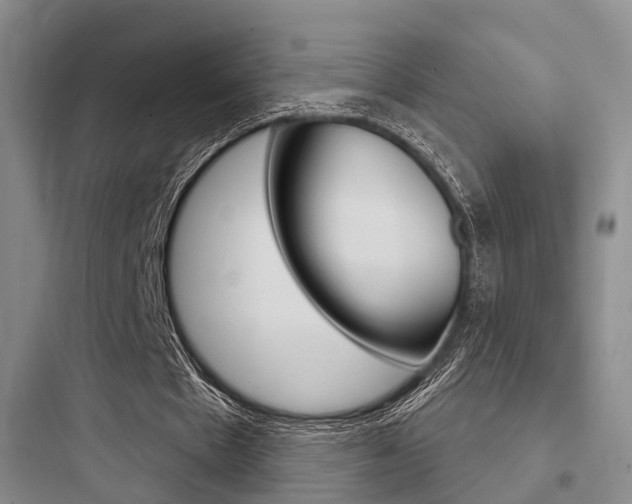 X0000097950481200803241022