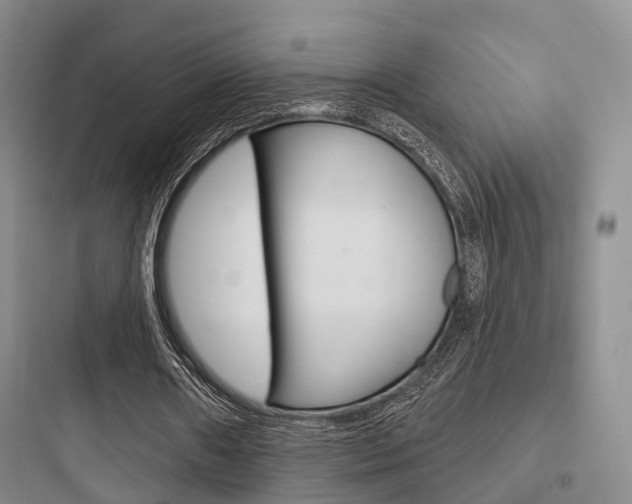 X0000097950482200803241022