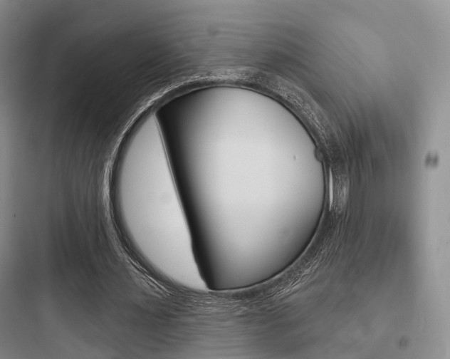 X0000097950483200803241022