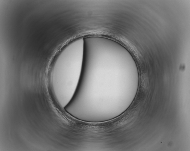 X0000097950486200803241022