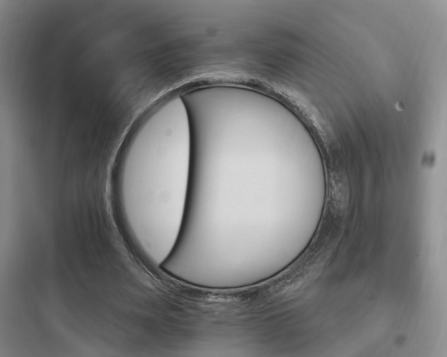 X0000097950487200803241022