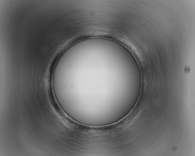 X0000097950490200803241022