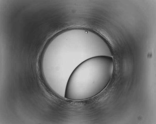 X0000097950491200803241022