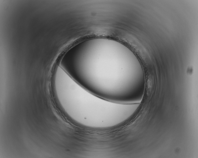 X0000097950492200803241022