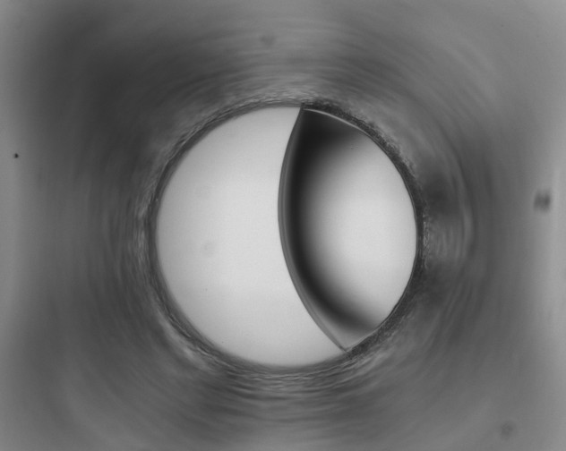 X0000097950493200803241022