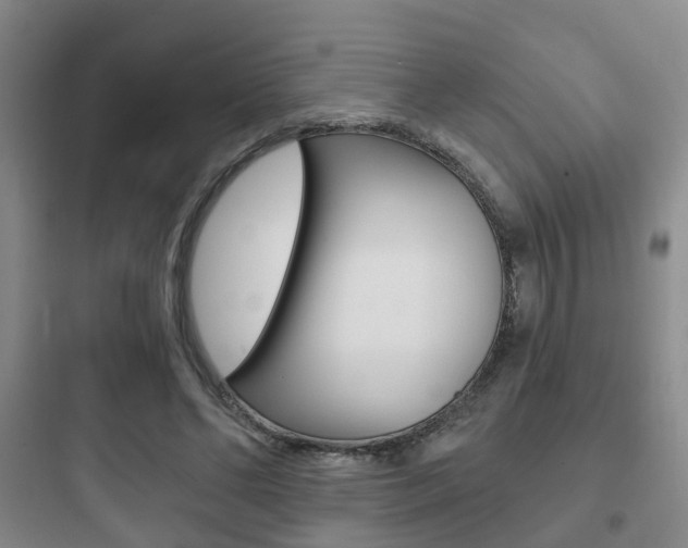 X0000097950494200803241022
