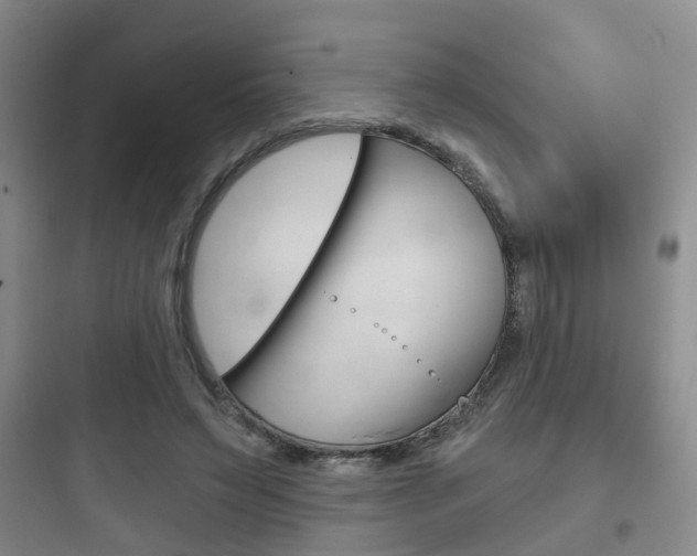 X0000097950495200803241022